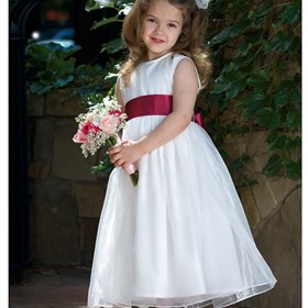 Beautiful Photography: Photography